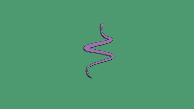Dynamic cartoon animation of snake on a green background. The picture appears and disappears. Turbulent displace and distortion style 4k video.