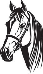 Horse head Vector illustration, on a white background, SVG