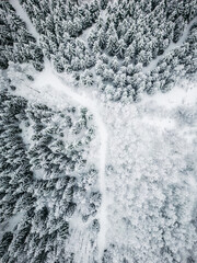 Drone, topdown winter forest. Snow on the foredt