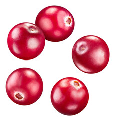 Cranberry isolated on white background