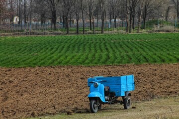 Fototapeta na wymiar Farm plot. Bright wheat grass in the background. Furrows of a wheat field. A blue three-wheeled cargo motorcycle is in the foreground. Spring. Farming sowing period. 