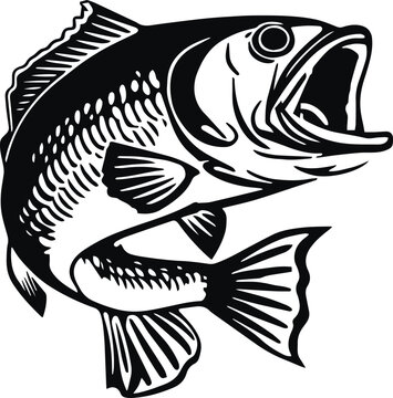 Fishing bass logo icon, fish perch icon, on isolated background, Vector illustration SVG