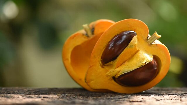 Canistel or Pouteria campechiana fruits on nature background.