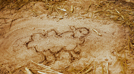 Drawing in the sand of a sheep made with hands