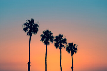 Palm trees at sunset, vintage California summer vibes - obrazy, fototapety, plakaty