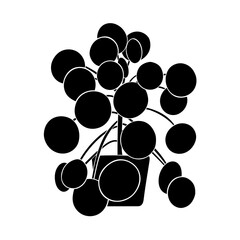 Pilea plante verte 4 pictogramme vecteur illustration 