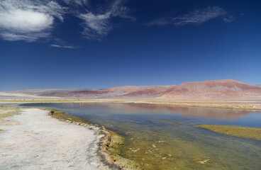 The Carachi Pampa lagoon, biosphere reserve, Argentina