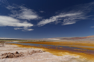 The Carachi Pampa lagoon, biosphere reserve, Argentina