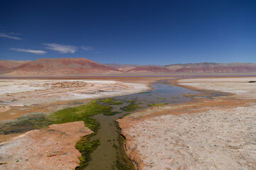 The Carachi Pampa lagoon, biosphere reserve, Argentina