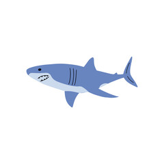 Fototapeta premium Shark. Sea animal. Marine animal in Scandinavian style.