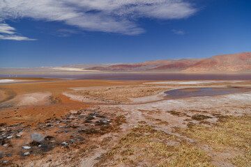 The Carachi Pampa lagoon, biosphere reserve, Argentina