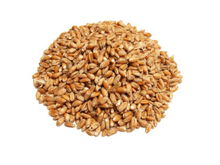 Grain isolated on white background