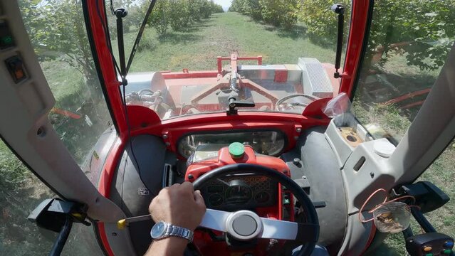 Farmer pov driving combine tractor harvester collecting harvest crops on the field of wallnut and hazelnut farm