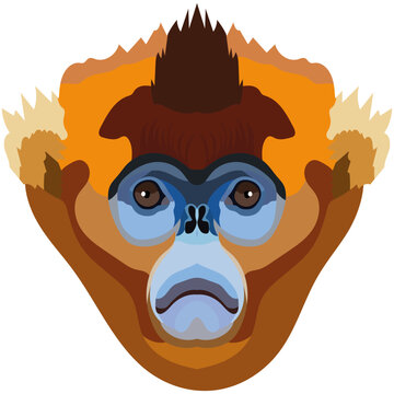 Rhinopithecus. The face of the monkey is depicted in vector style. A vivid image of a primate. Logo, illustration isolated on white background.