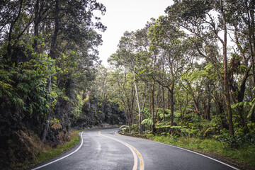 Fototapeta na wymiar Entorno natural y vegetación de las islas de Hawaii, 