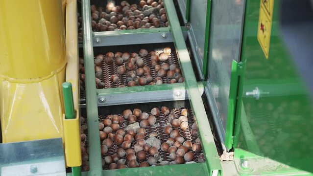 Hhazelnut kernel and shell separating machine can be professionaly used to separate the nuts shell and the seeds, kernel, such as almond, hazelnut, walnuts, slow motion