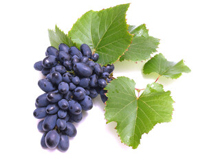 Grapes on a white background isolated