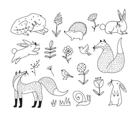 Hand drawn set with line design forest animals and plants, isolated vector illustration in dodle style