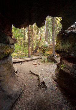 Calaveras Big Trees State Park, California