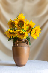 Still life with beautiful sunflowers in a clay ceramic vase on the table against the backdrop of light curtains