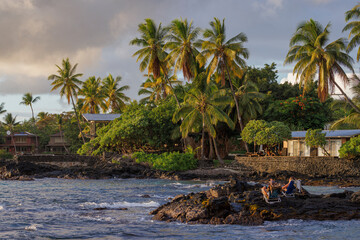 palmeras hawaianas, vegetación típica de las islas de Hawaii