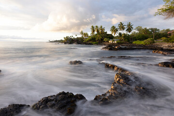 palmeras hawaianas, vegetación típica de las islas de Hawaii