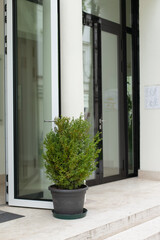 Green plants at the entrance of the office building or restaurant