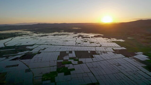 Floded agriculture rice fields at sunset, ready for seeding, traditional method of rice cultivation, field pattern in various shapes, aerial shot