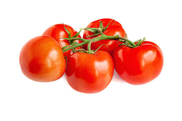 fresh organic soil tomatoes on branch isolated on white