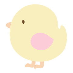 baby chicken 