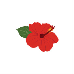  A beautiful jaba flower vector art work.