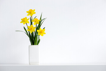 Hello summer background concept. Beautiful yellow bunch of blossoming narcissus flowers in white vase on white nature background, space for text.