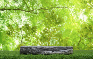 Stone podium table top floor on grass outdoors blur fresh green tropical forest tree nature...