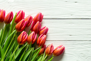Bouquet of pink tulips on a white wooden background, top view.