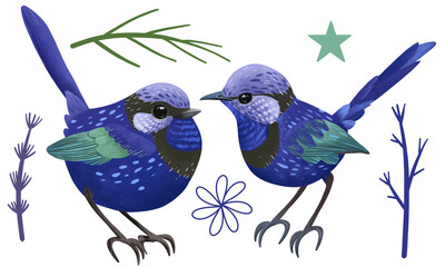Blue birds illustration. Cute bird cartoon style, hand drawn children illustration, animal portrait  isolated on transparent background Ornitology art.