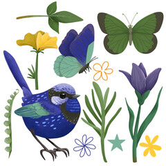 Set of blue bird, butterflies and botanical elements. Collection in bright colors and cartoon style. Garden illustration design for logo, wedding, invitation, decor.