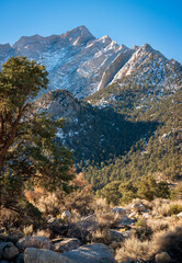Sequoia National Park in Autumn, Clear Summer Day