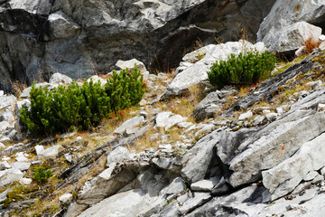 Speicher Kölnbrein in den Hohen Tauern im Herbst	