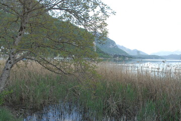 Lac d'Annecy 2019