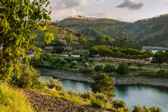 Tree leaves and soil, valley with river Z&ecirc;zere and view of bungalows in Aldeia do Mato - Abrantes PORTUGAL