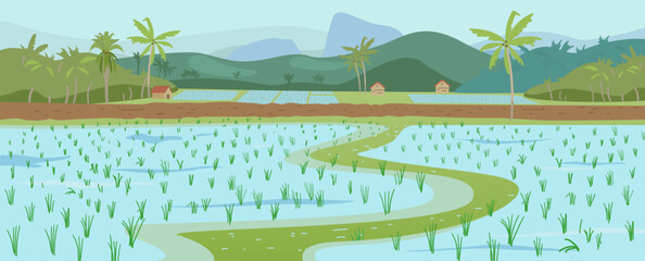 Rice fields scenery with no people vector illustration. Rice plantations. Landscape with paddy fields, palms, hills and huts. © Александра Гвардейце