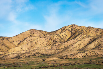 Fototapeta na wymiar The Jagged Mountains of Carrizo Plain National Monument