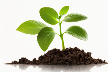 Earth's Day. View of a seed growing in the soil. Generative AI