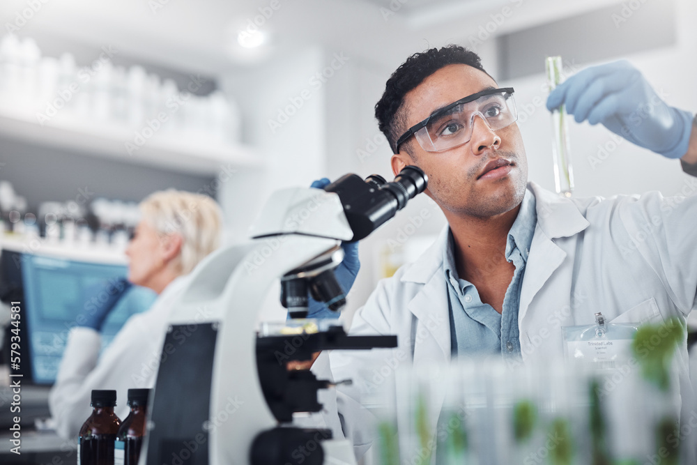 Sticker Black man, scientist and lab with test tube research, microscope and focus for agriculture study with plant. Science team, glass vial and plants for medicine, pharma and stop virus, bacteria or germs