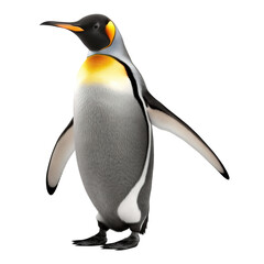 penguin isolate on background