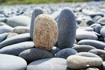 Three oval pebbles on a stony beach.