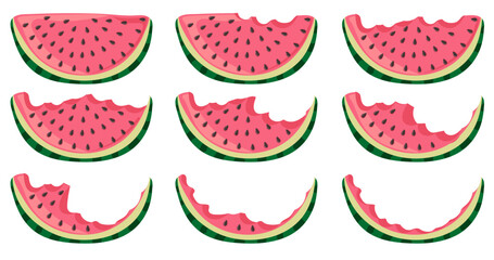 Set of watermelon pieces, whole and bitten.  Green striped berry with red pulp and brown seeds. Vector illustration