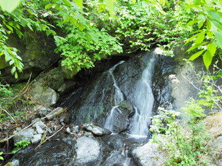 小さな滝, Small Waterfall