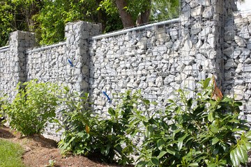 Gabion wall with plants