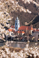 Durnstein village during spring time with Danube river in Wachau valley (UNESCO), Austria